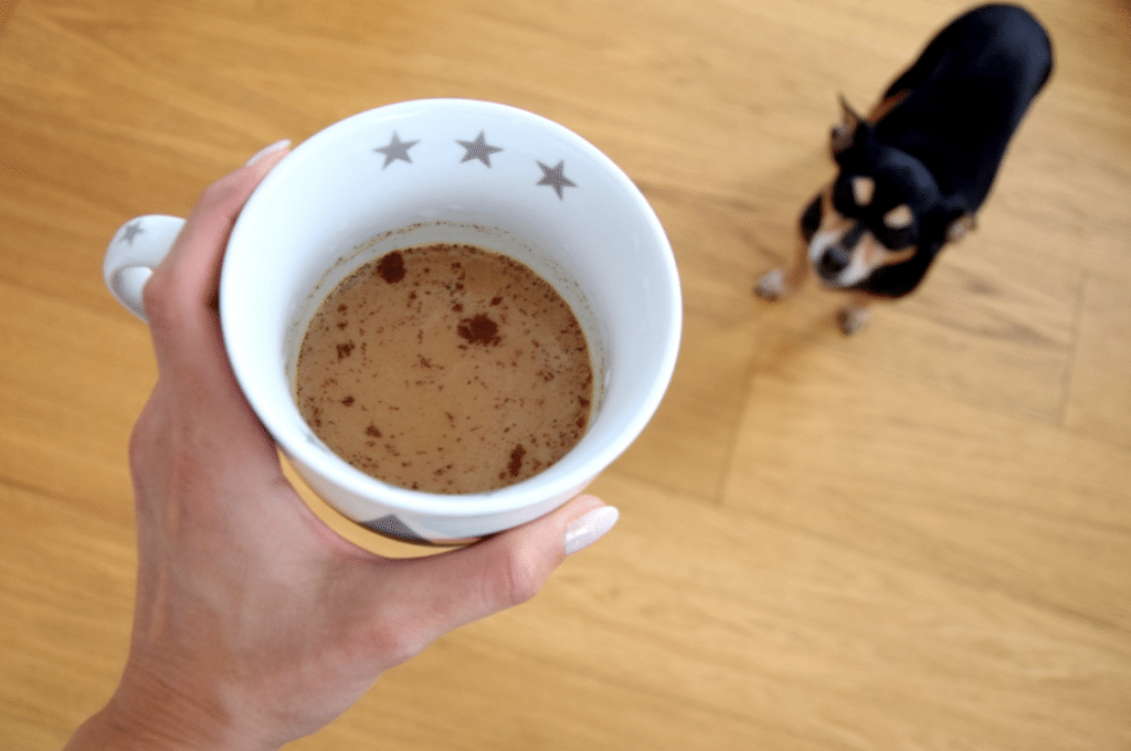 est-ce toxique de donner du café à son chien ?